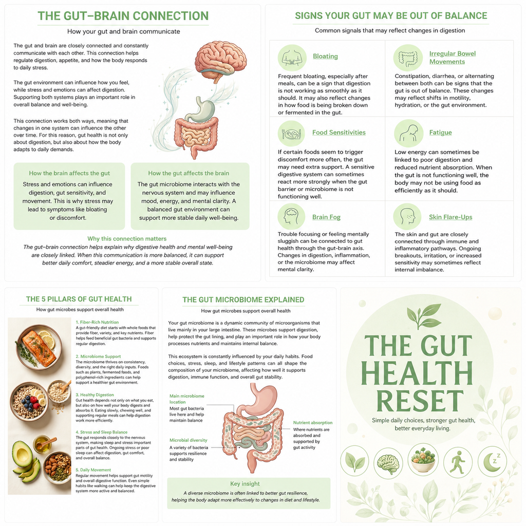 Ultimate Gut Wellness Bundle